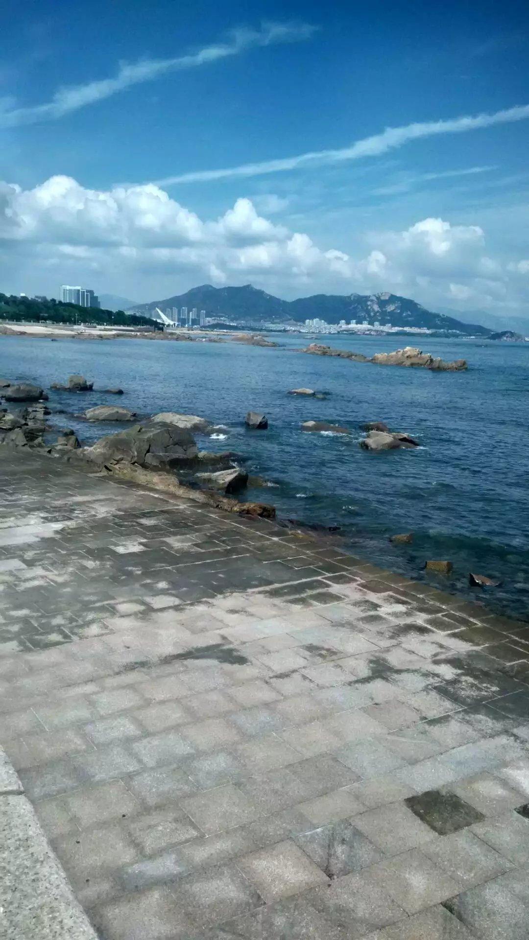 青島極地海洋世界門(mén)票免費(fèi)嗎？——深度解析與攻略，青島極地海洋世界門(mén)票免費(fèi)政策解析及游玩攻略