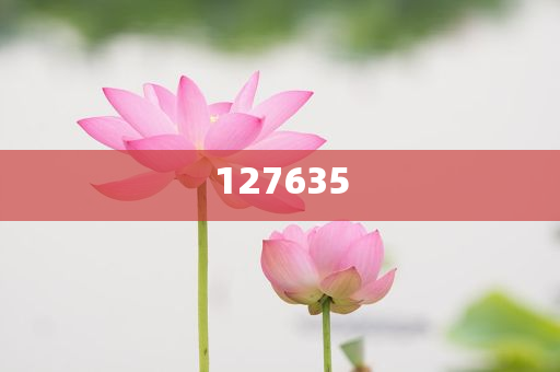 探索全新精準(zhǔn)傳真服務(wù)，7777788888新精準(zhǔn)傳真解析，全新精準(zhǔn)傳真服務(wù)解析，7777788888傳真新體驗(yàn)