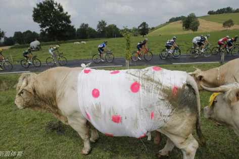 王中王三肖一碼免費(fèi)公開，揭秘背后的秘密與真相，揭秘王中王三肖一碼，真相與背后的秘密免費(fèi)公開揭露