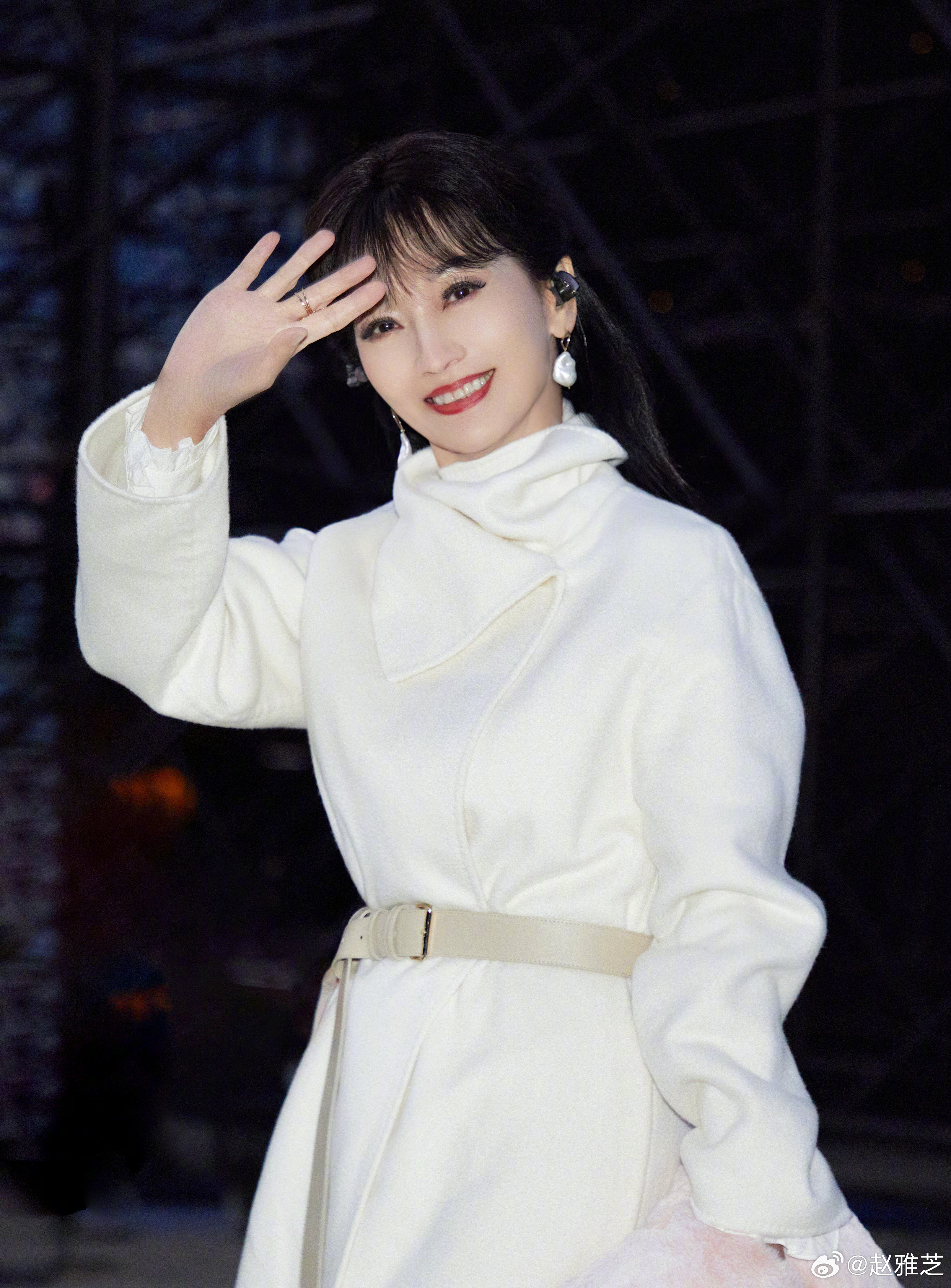 演員趙雅芝個人資料，歲月不敗的美人傳奇，趙雅芝，歲月不敗的美人傳奇人生