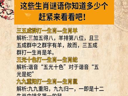 謎語(yǔ)王中王打一生肖——揭秘背后的神秘故事與生肖之謎，揭秘生肖之謎，謎語(yǔ)王中王背后的神秘故事與生肖解密