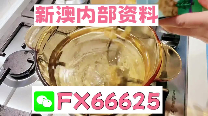 新澳一碼料，深度解析與SEO優(yōu)化策略，新澳一碼料深度解析與SEO優(yōu)化策略指南