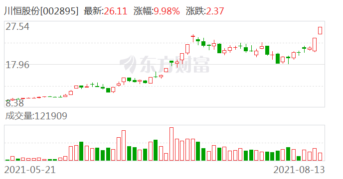 川恒股份股票，深度解析與發(fā)展前景展望，川恒股份股票深度解析與未來展望