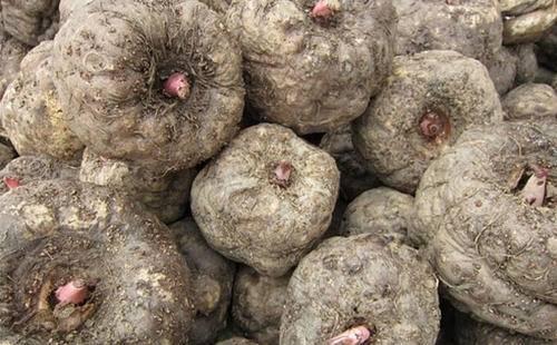 如何最快最健康地減肥，你的個(gè)性化減肥指南，個(gè)性化減肥指南，實(shí)現(xiàn)快速健康減重的方法與策略