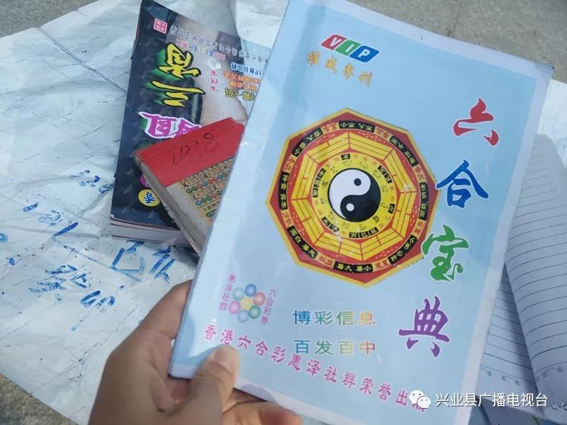 六盒寶典資料免費(fèi)大全下載指南，六盒寶典資料免費(fèi)下載大全指南