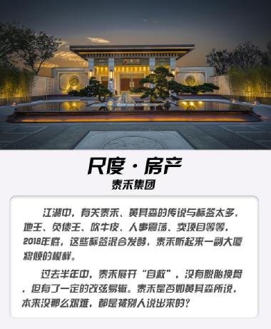 泰禾集團(tuán)股吧，深度解析與前景展望，泰禾集團(tuán)股吧，深度解析及前景展望