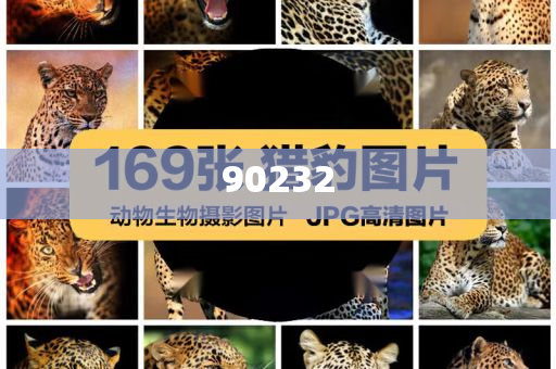 2025新澳天天開好彩大全第78期精彩回顧與前瞻，新澳天天開第78期精彩回顧與前瞻，展望未來的彩票之旅