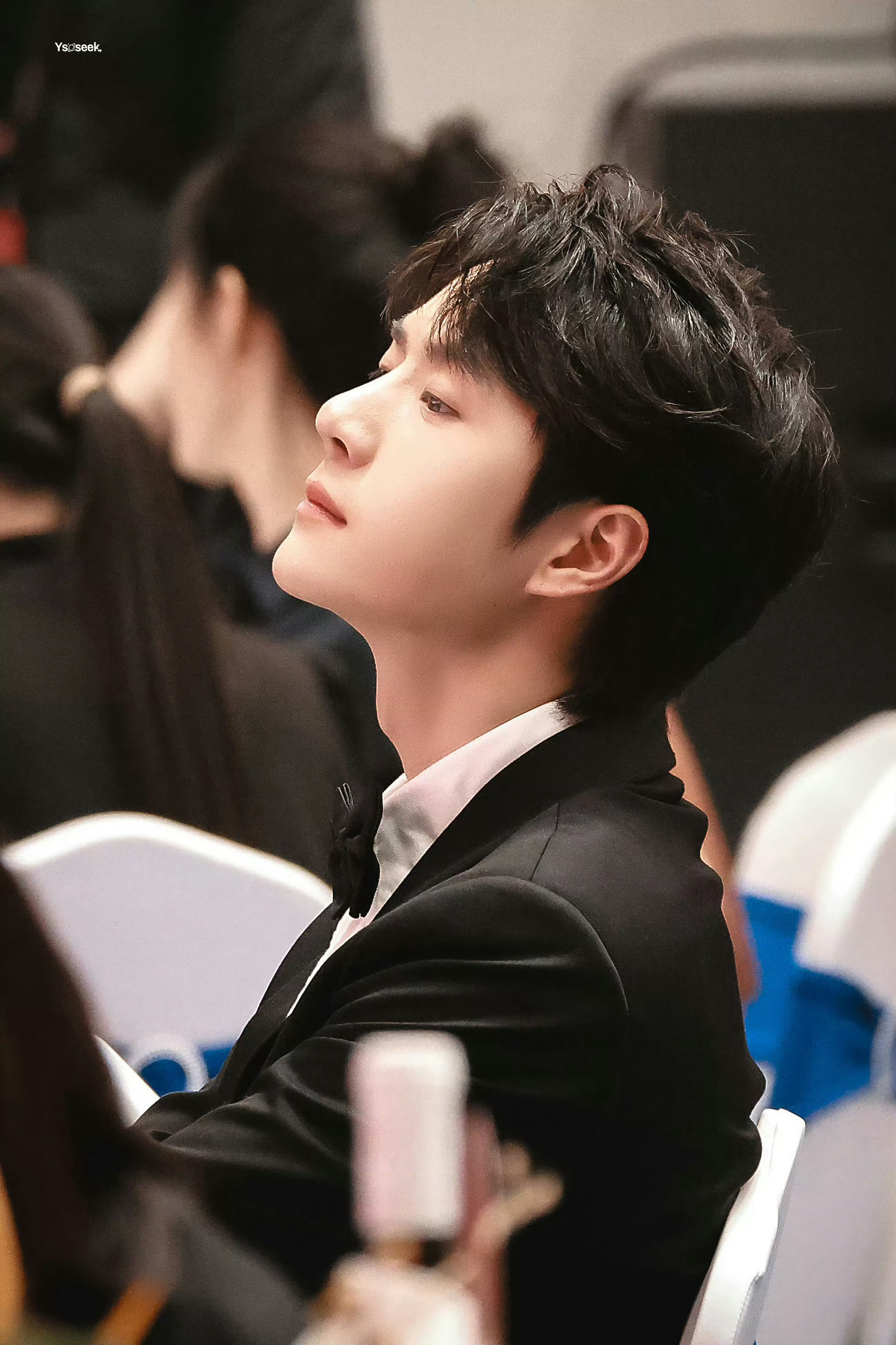 王中王一肖中特鐵算子，揭秘背后的秘密與策略，揭秘王中王一肖中特鐵算子的秘密與策略