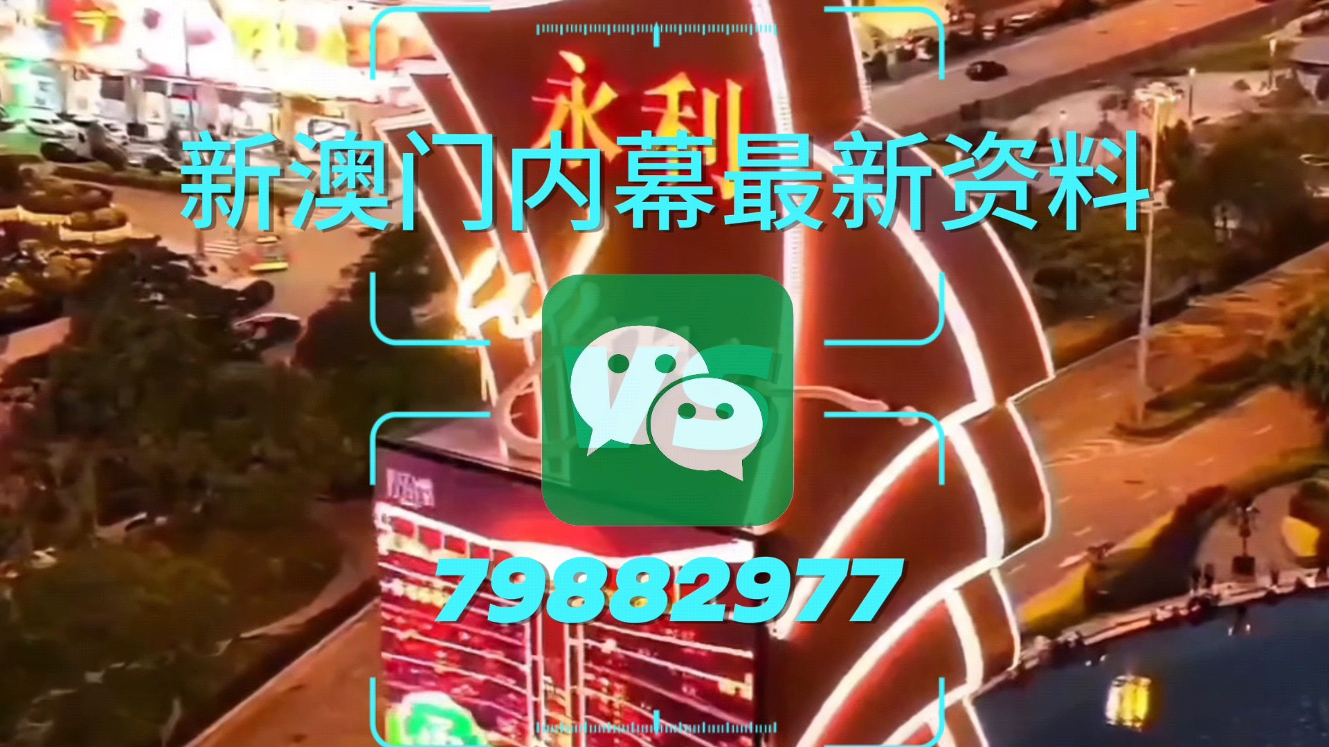 新澳門一肖一特一中，探索與解析，新澳門一肖一特一中，深度探索與解析