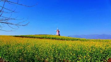 漢中一日游最佳景點(diǎn)全攻略，漢中一日游必游景點(diǎn)攻略大全