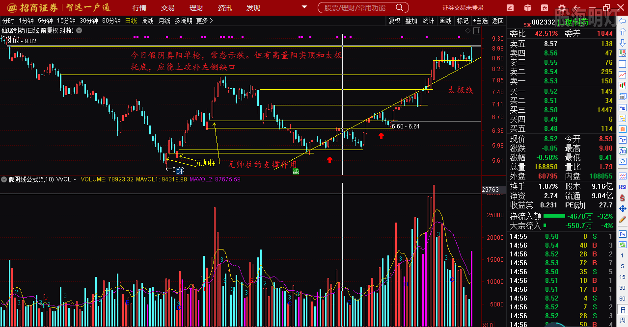 仙琚制藥股票（代碼，002332）深度解析，仙琚制藥股票深度解析（代碼，002332）