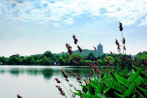 杭州市西湖風(fēng)景名勝區(qū)的魅力與SEO優(yōu)化策略，西湖風(fēng)景名勝區(qū)魅力揭秘與SEO優(yōu)化策略探索