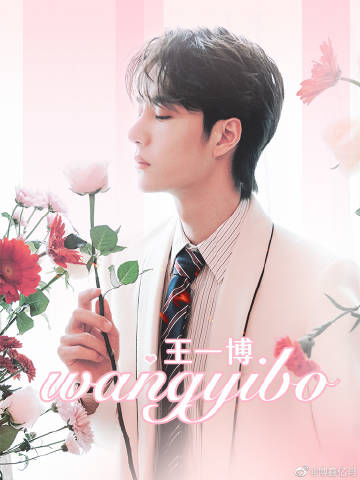 王中王一肖準(zhǔn)特資料，深度解析與SEO優(yōu)化文章，王中王一肖準(zhǔn)特資料深度解析與SEO優(yōu)化指南