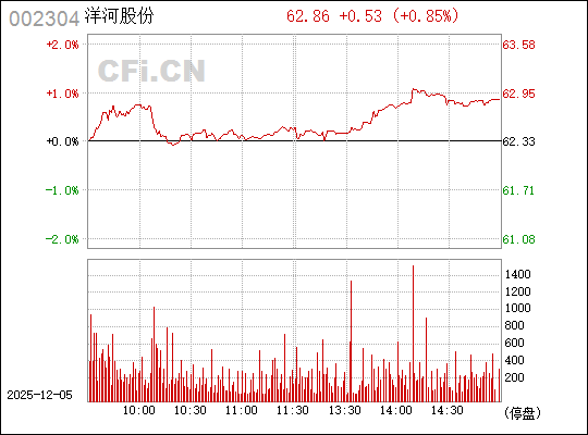 股票002304，深度解析與投資策略，股票002304深度解析與實戰(zhàn)投資策略探討