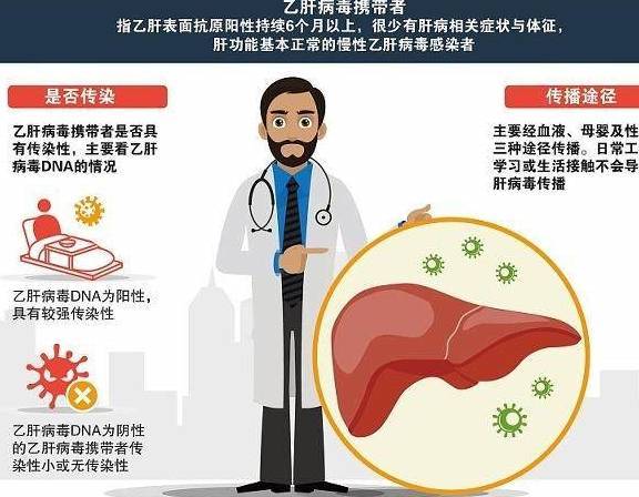 乙肝病毒攜帶者可怕嗎，深入了解與正確應(yīng)對，乙肝病毒攜帶者的真相，深入了解與正確應(yīng)對之道