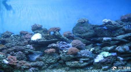 青島海底世界門票價(jià)格大全，探索海洋的門票費(fèi)用是多少？，青島海底世界門票價(jià)格詳解，探索海洋之旅的費(fèi)用是多少？