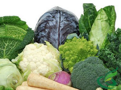 五種可止瀉的蔬菜，天然健康的止瀉良方，五種天然蔬菜止瀉良方，健康有效的止瀉選擇