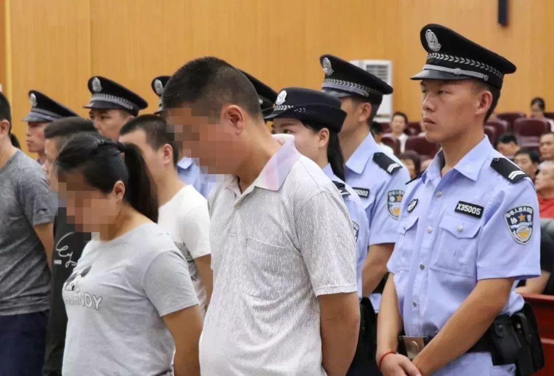 香港特馬王資料免費(fèi)公開，揭秘背后的秘密，香港特馬王資料揭秘，免費(fèi)公開背后的秘密