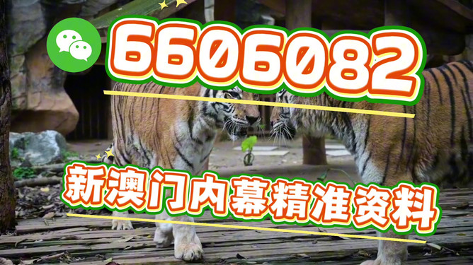 澳門今晚必開(kāi)一肖一特，揭秘生肖彩票的魅力與策略，澳門生肖彩票揭秘，必開(kāi)一肖一特的魅力與策略