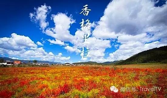 金秋十月，探尋最適合你的旅游目的地，金秋十月，探尋最佳旅游目的地之旅