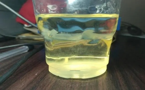 懷孕40天用白醋測(cè)男女，真相揭秘與科學(xué)解讀，揭秘懷孕40天用白醋測(cè)男女的真相與科學(xué)依據(jù)