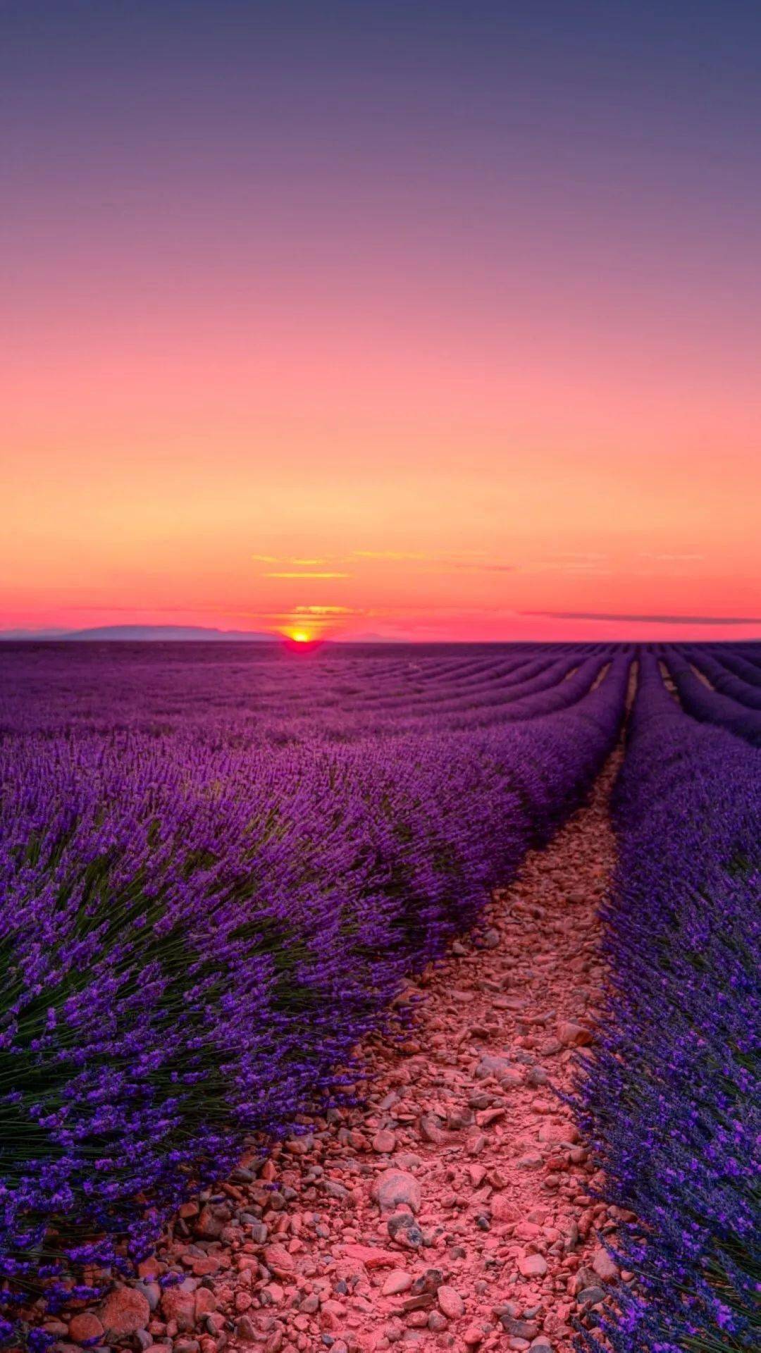 揭秘劉伯溫一肖六碼中特之謎，探尋背后的故事與真相，劉伯溫一肖六碼中特背后的故事與真相揭秘