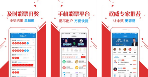 王中王玄機一肖資料解析與SEO優(yōu)化探討，王中王玄機生肖資料解析與SEO策略優(yōu)化探討