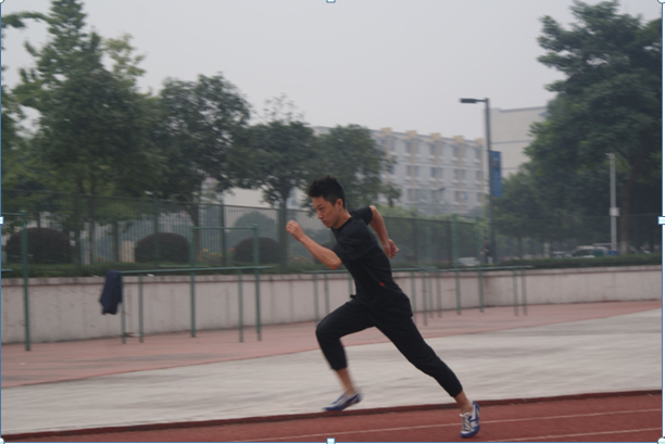 YN蕩校園運(yùn)動會精彩瞬間，運(yùn)動之筆記錄輝煌，YN蕩校園運(yùn)動會輝煌瞬間，運(yùn)動之筆描繪精彩篇章